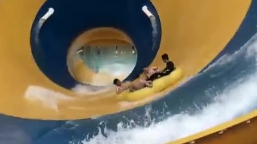 最后那个狗子太真实了
